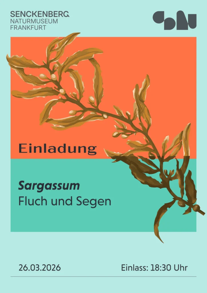 special exhibition ‘Sargassum – Curse & Blessing’